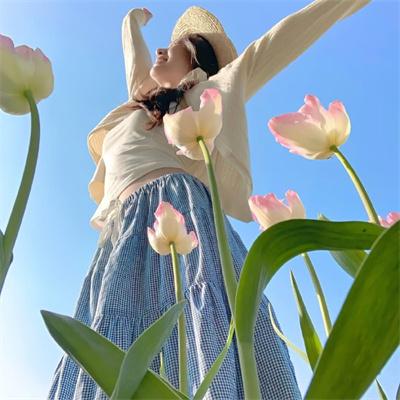 德云社乙未年封箱庆典2016